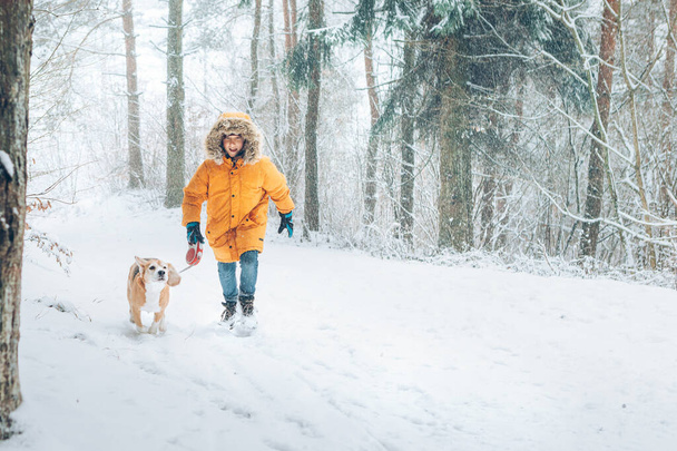 Boy in bright yellow parka walks with his beagle dog in snowy pine forest. Walking with pets and winter outfit concept image. - Photo, image