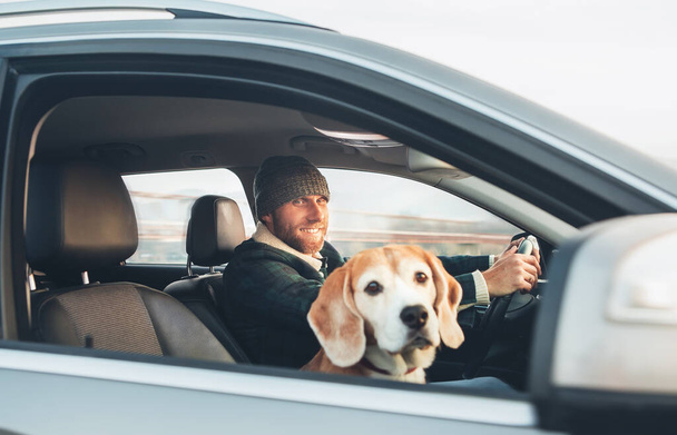 Man traveling by auto with his favorite pet beagle dog - Zdjęcie, obraz