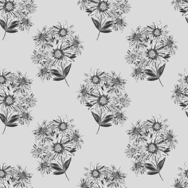 Floral seamless pattern with beautiful blooming camomiles. Monochrome watercolor flower print. Summer greeting card.  - Foto, Imagem