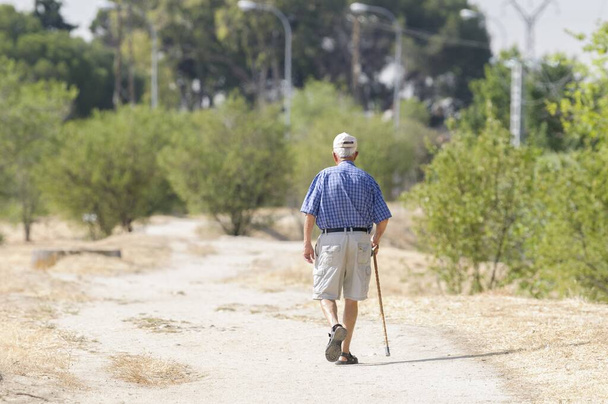An old man with blue shirt, white shorts and a  wooden cane walking in the park - Foto, Imagen