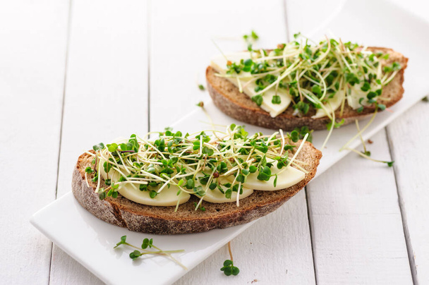 ένα σάντουιτς με πράσινα λαχανάκια, μικρά χόρτα και μοτσαρέλα, ένα υγιεινό και υγιεινό σνακ - Φωτογραφία, εικόνα