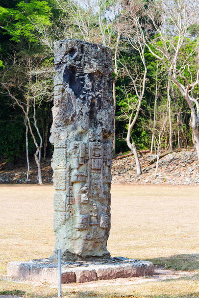 Maya stela in Copan Ruins, Honduras, Centraal-Amerika - Foto, afbeelding
