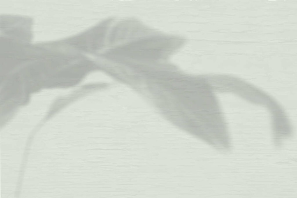 Summer background of plant shadows. The shadow of a Spathiphyllum flower on a gray wall. Mockup. - Photo, Image
