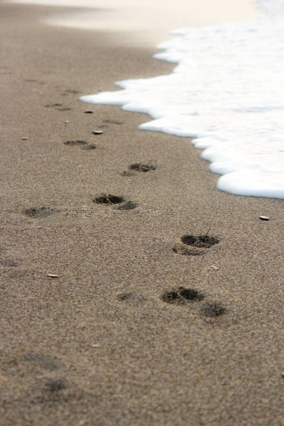 A vertical shot of footprints in the sand - Photo, image