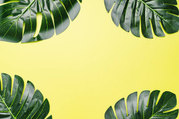 Flat lay composition of Giant monstera leaves, copy space for text - Photo, Image