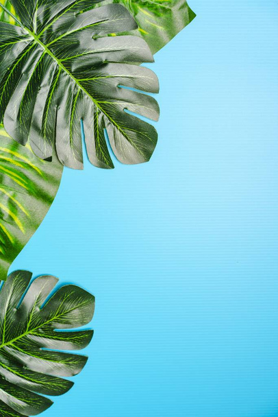 Flat lay composition of Giant monstera leaves, copy space for text - Foto, Imagem