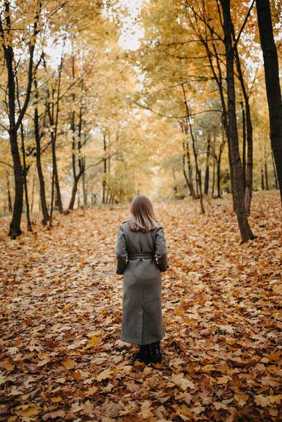 Young woman in a gray coat walking in autumn forest  - Fotografie, Obrázek