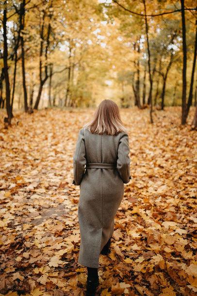 Young woman in a gray coat walking in autumn forest  - Fotó, kép