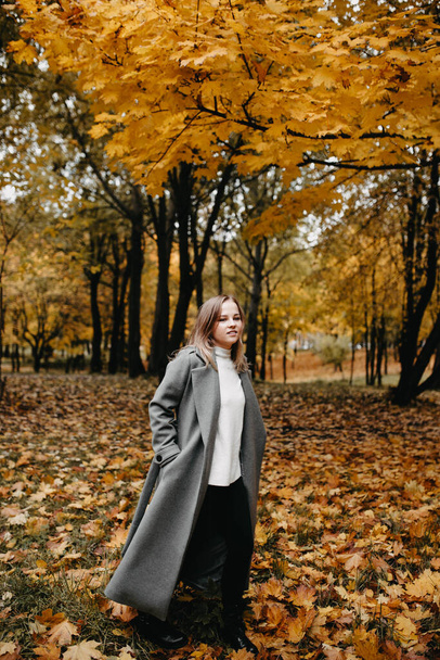 Young woman in a gray coat walking in autumn forest  - Foto, immagini