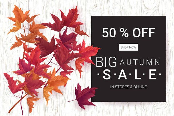 Big Autumn sale. Fall sale trendy design template. Can be used for flyers, banners or posters. Vector illustration with colorful autumn leaves  - Wektor, obraz