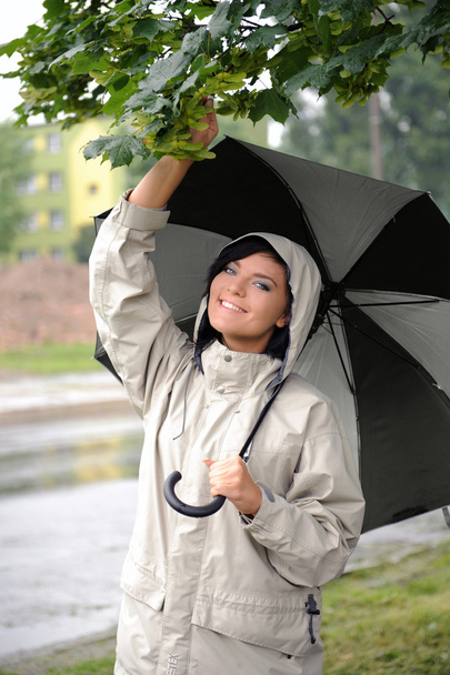 parasol - Zdjęcie, obraz