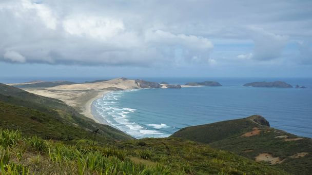 ニュージーランドのレインガ岬のビーチの眺め - 写真・画像