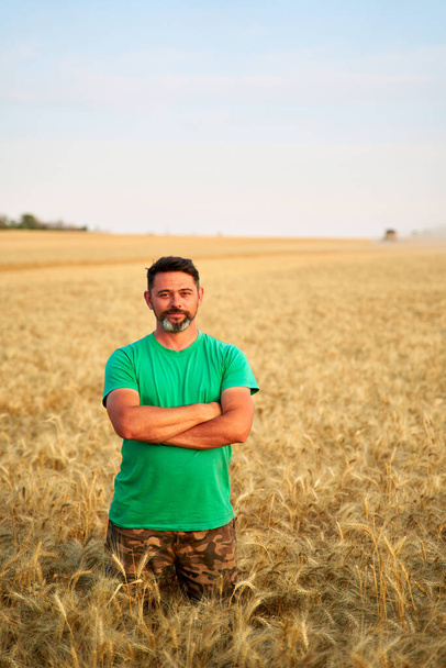 Happy farmer proudly standing in wheat field with arms crossed on chest. Agronomist wearing corporate uniform, looking at camera on farmland. Rich harvest of cultivated cereal crop. Harvesting season. - Valokuva, kuva