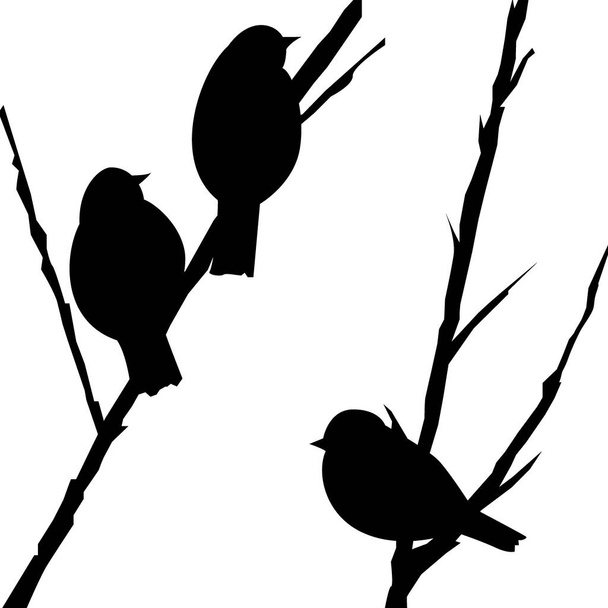 background with silhouettes of birds on the branches, vector illustration - Vector, Image