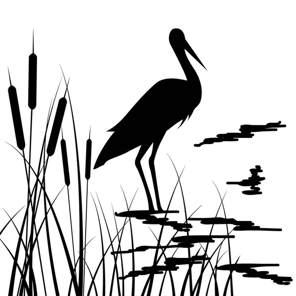 rajz fekete, sziluett gólyák és fű, vektor illusztráció, izolátum fehér alapon - Vektor, kép
