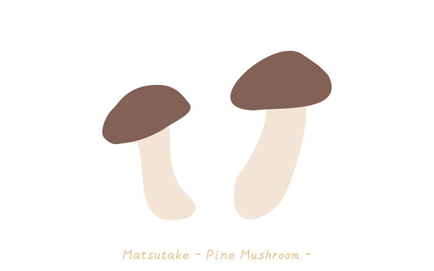 Gusto autunnale, semplice illustrazione di funghi Shiitake - Vettoriali, immagini