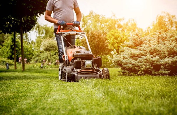 Gardener mowing the lawn. Landscape design. Green grass background - Photo, image