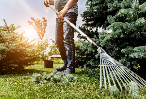 Gardener raking cutting leaves in the garden. - Fotografie, Obrázek