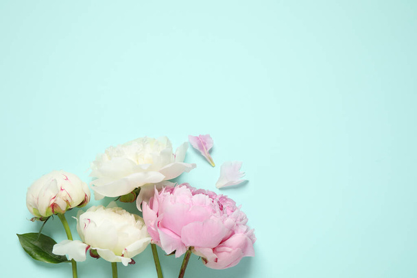 Beautiful peonies on light blue background, flat lay. Space for text - 写真・画像
