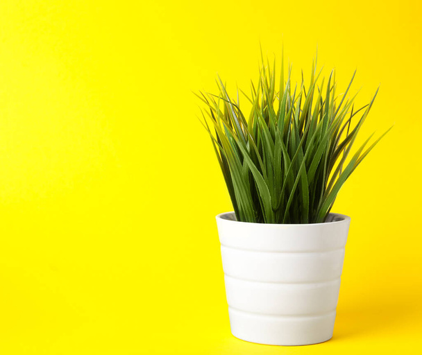 Beautiful artificial plant in flower pot on yellow background, space for text - Foto, Imagen