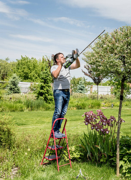 A gardener trimming trees with hedge trimmer - Zdjęcie, obraz