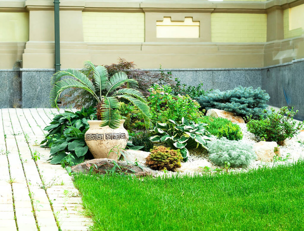Diseño de paisaje de casa o esquina llena de plantas. Diseño urbano a partir de tonos de verde. Primer plano
 - Foto, imagen