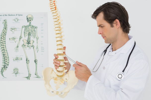 Serious male doctor looking at skeleton model - Photo, Image