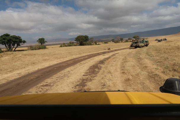 Safari conduciendo a través del Serengeti
 - Foto, Imagen