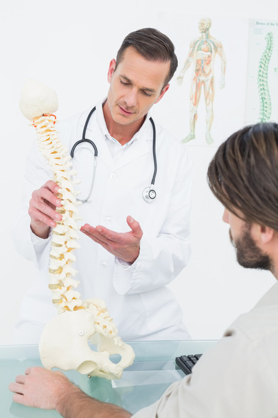 Male doctor explaining the spine to a patient - Фото, изображение