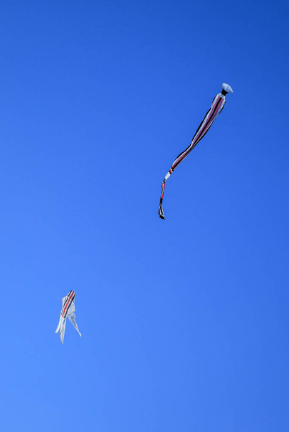 Traditional balinese Kite. kite long tailfly on blue sky. The colorful kite on the blue sky without clouds. - Photo, Image