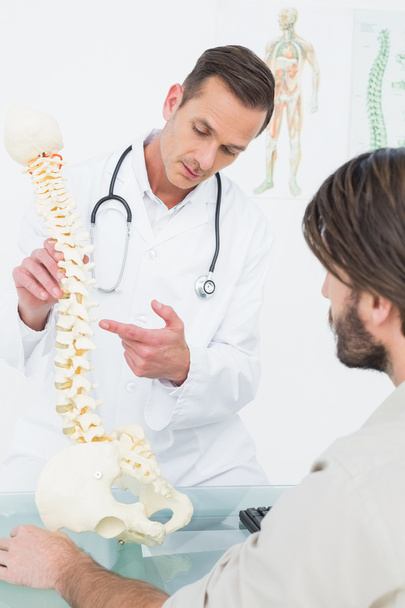 Male doctor explaining the spine to a patient - Zdjęcie, obraz