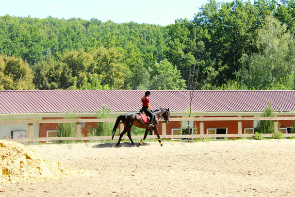 Cavalo e cavaleiro ao ar livre, vista horizontal. Pessoas, animais, conceito de curativo
. - Foto, Imagem