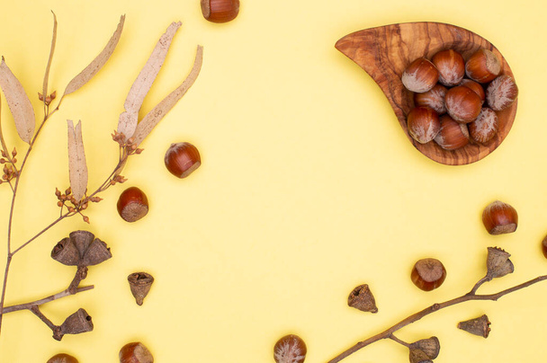 Hazelnuts in an olive bowl on a yellow background. Nuts scattered, dry eucalyptus leaves, seeds of eucalyptus capsules, autumn flat lay, copy space - Photo, Image