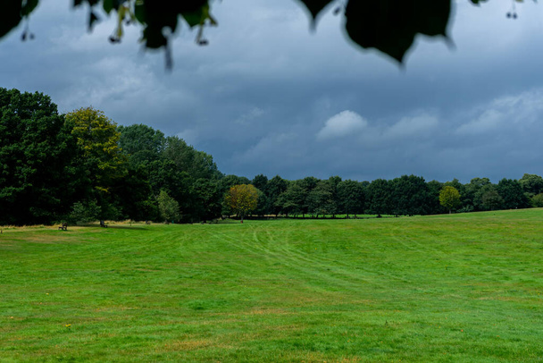 Moody green fields whilst sheltering from th rain. - Foto, imagen