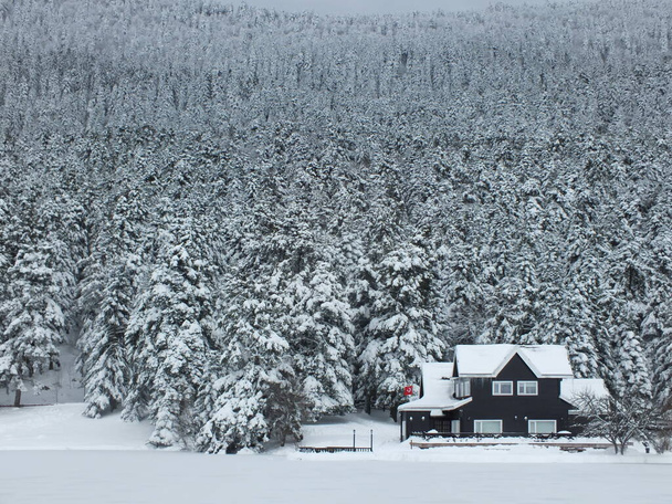 Zimní dům hora, bolu abant zimní dům - Fotografie, Obrázek