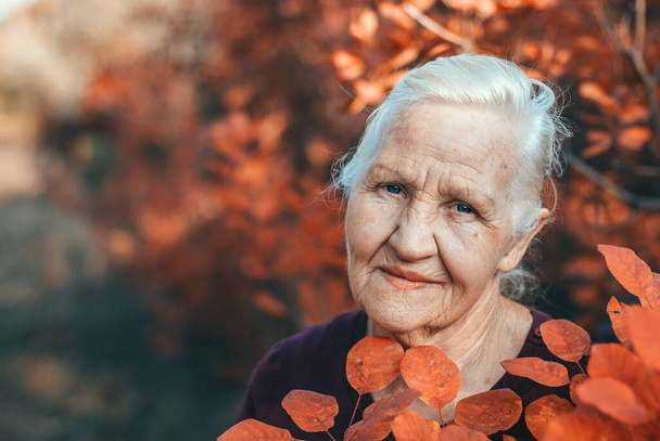 Autumn Portrait of the smiling elderly woman outdoor - Photo, Image