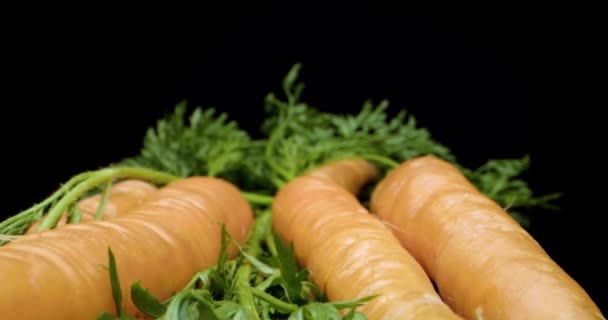 Zanahorias de cerca
 - Imágenes, Vídeo