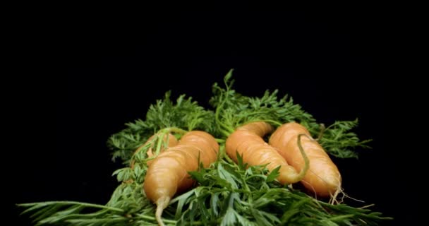 carottes gros plan - Séquence, vidéo