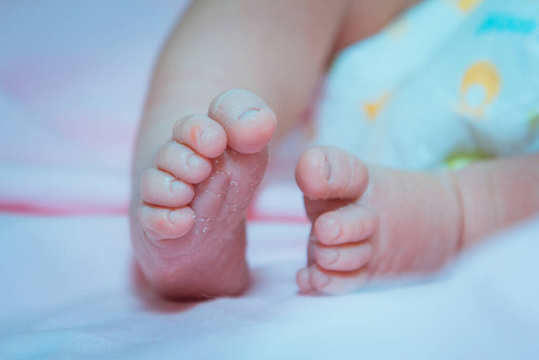 Παιδιά. Μωρά. Παιδική φροντίδα. Μικρά πόδια νεογέννητου μωρού. - Φωτογραφία, εικόνα