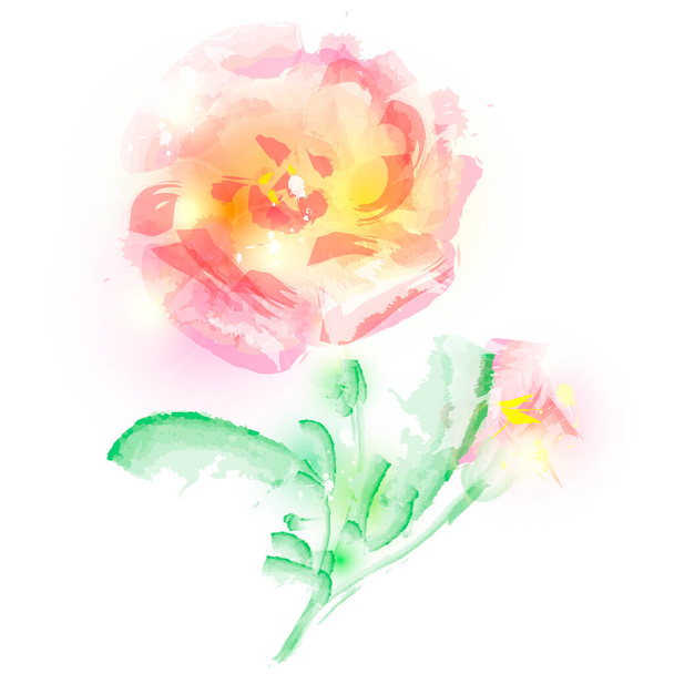 Beautiful pink roses isolated on white background - Foto, Bild