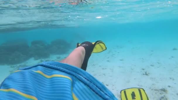 Κοντινό πλάνο: Snorkeler φορώντας πτερύγια κλωτσιές κατά την εξερεύνηση του ωκεανού κοντά στις Μαλδίβες. - Πλάνα, βίντεο
