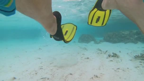 НЕОБХОДИМОСТЬ: активный турист-мужчина носит ласты, чтобы плавать под водой за океаном. - Кадры, видео