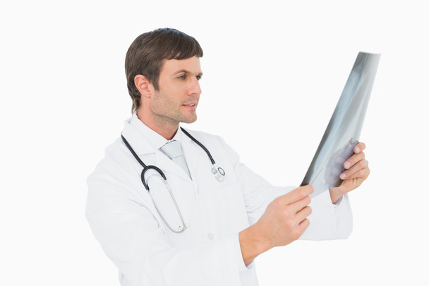 Concentrated male doctor looking at x-ray picture of lungs - Foto, imagen