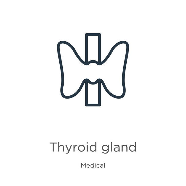 Icono de la glándula tiroides. Icono delgada glándula tiroides lineal contorno aislado sobre fondo blanco de la colección médica. Signo de vector de línea, símbolo para web y móvil - Vector, Imagen