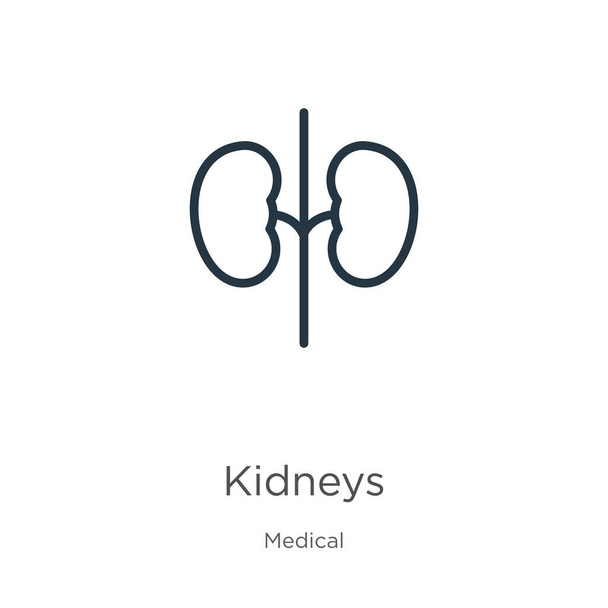 Nieren. Dünne, lineare Nieren umfassen ein Icon, das auf weißem Hintergrund aus der medizinischen Sammlung isoliert ist. Linienvektorzeichen, Symbol für Web und Mobile - Vektor, Bild