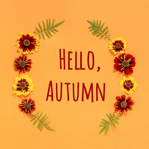 Hello Autumn text and frame from yellow red flowers on orange background. Top view Flat lay Greeting card Invitation. - Foto, immagini