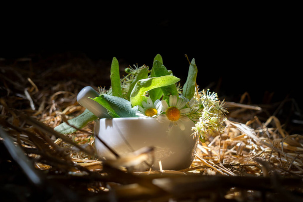 Pestle and mortar filled with fresh herbs and flowers on a bed of rustic straw in a shaft of sunlight - Foto, Bild