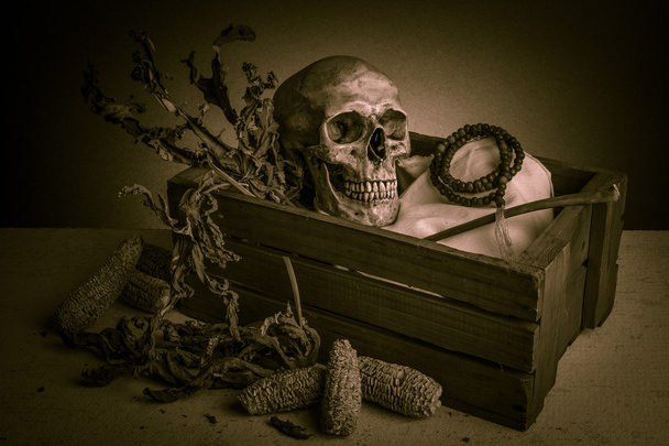 schedel met roos - Foto, afbeelding