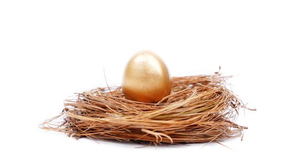 Close up of a shiny golden egg on the straw nest. Isolated on white background - Zdjęcie, obraz