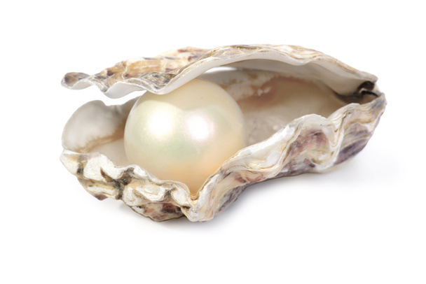 oester en pearl - Foto, afbeelding